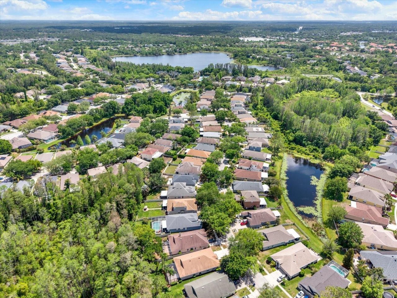 7642 Citrus Blossom Drive, Land O Lakes, FL 34637 Photo