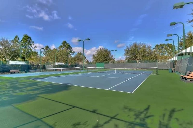 7642 Citrus Blossom Drive, Land O Lakes, FL 34637 Photo