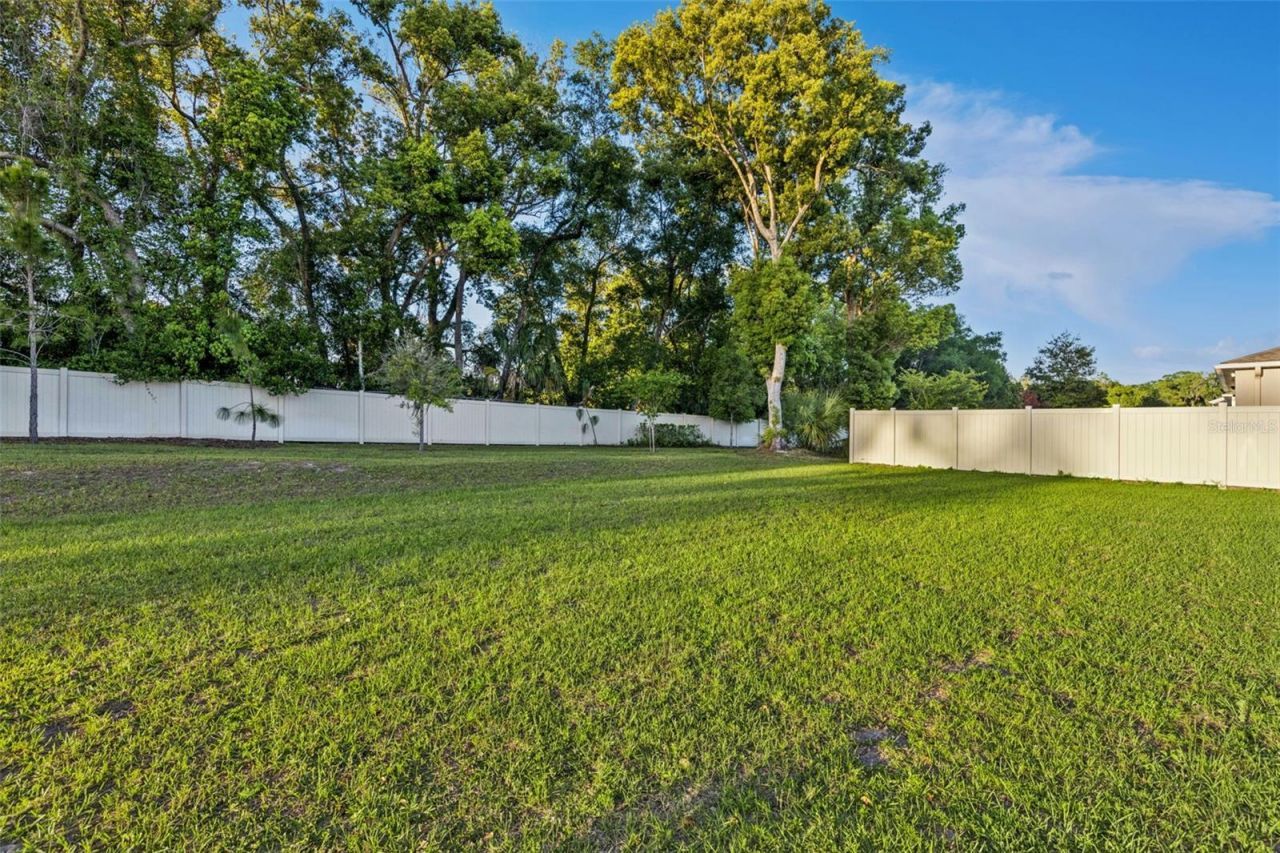 887 Asterfield Lane, Deland, FL 32720 Photo