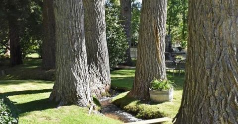 850 Sheridan Lane, Gardnerville, NV 89460 Photo