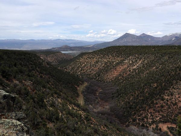 TBD TBD, Crawford, CO 81415