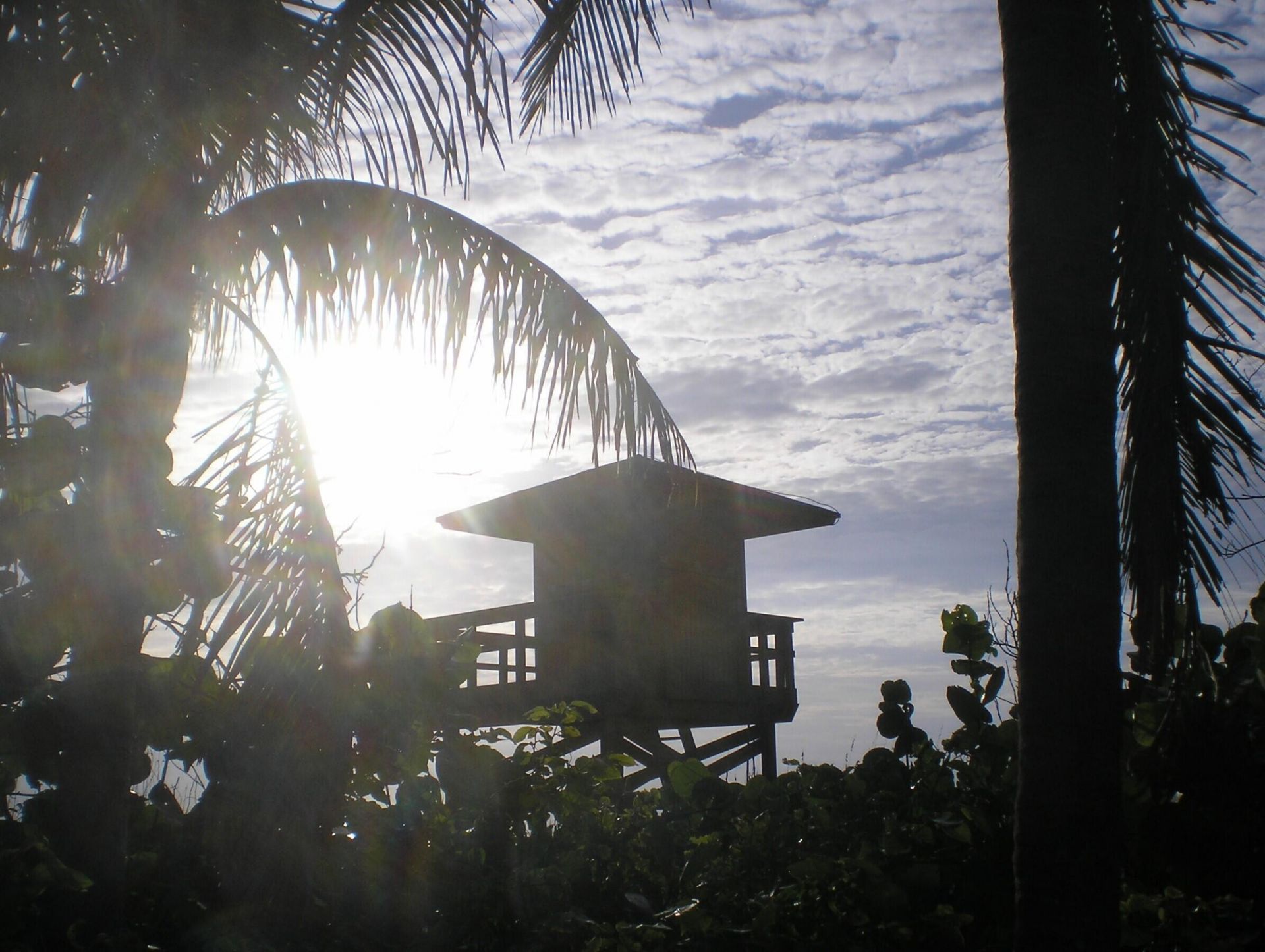 1605 S Us Hwy 1, Unit C306, Jupiter, FL 33477 Photo