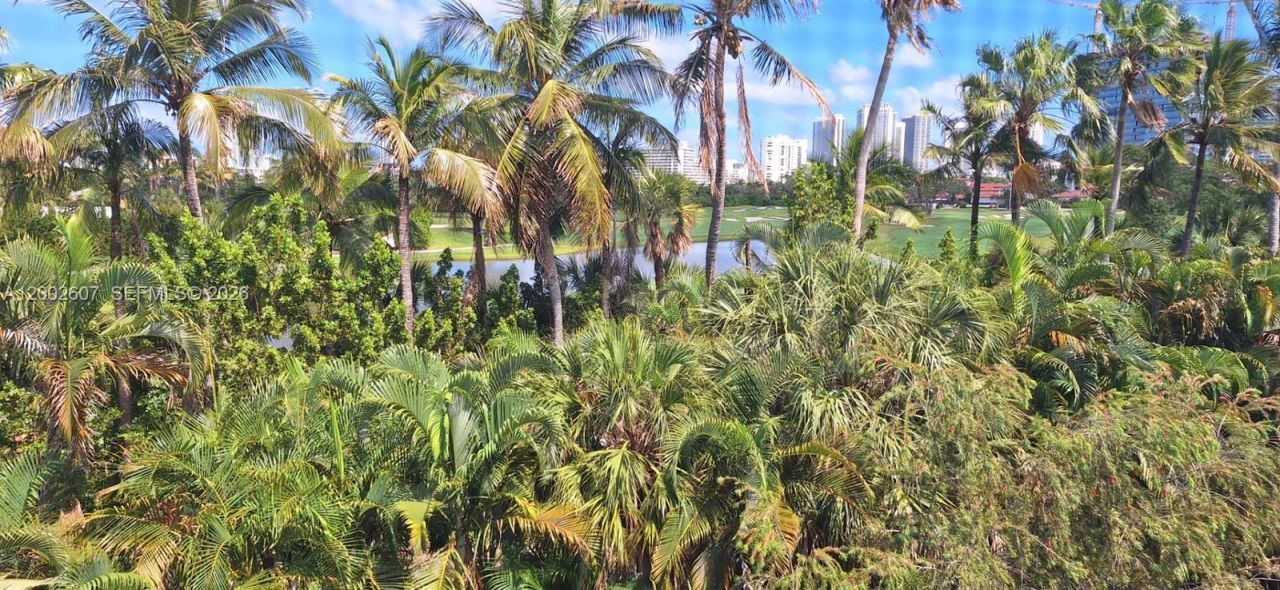 700 NE 14th Ave, Unit 407, Hallandale Beach, FL 33009 Photo