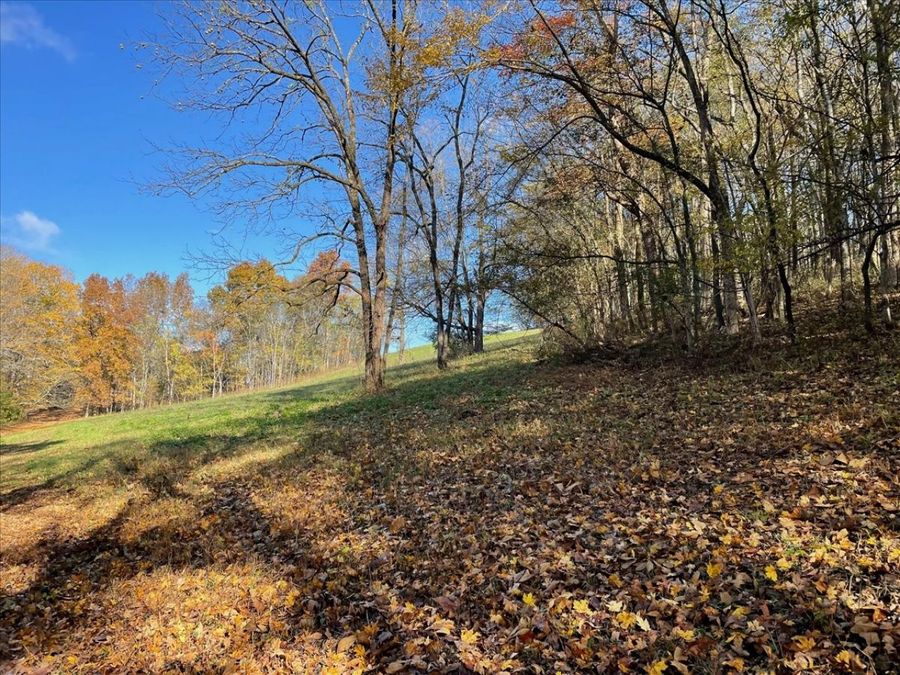 Property Image 62