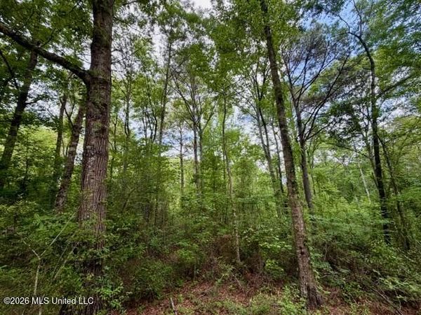 Conerly Drive, McComb, MS 39648