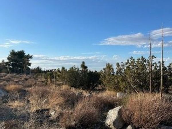 0 Yucca, Pinon Hills, CA 92372