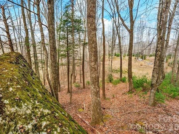 tbd Denney Wood Road , Sugar Grove, NC 28679