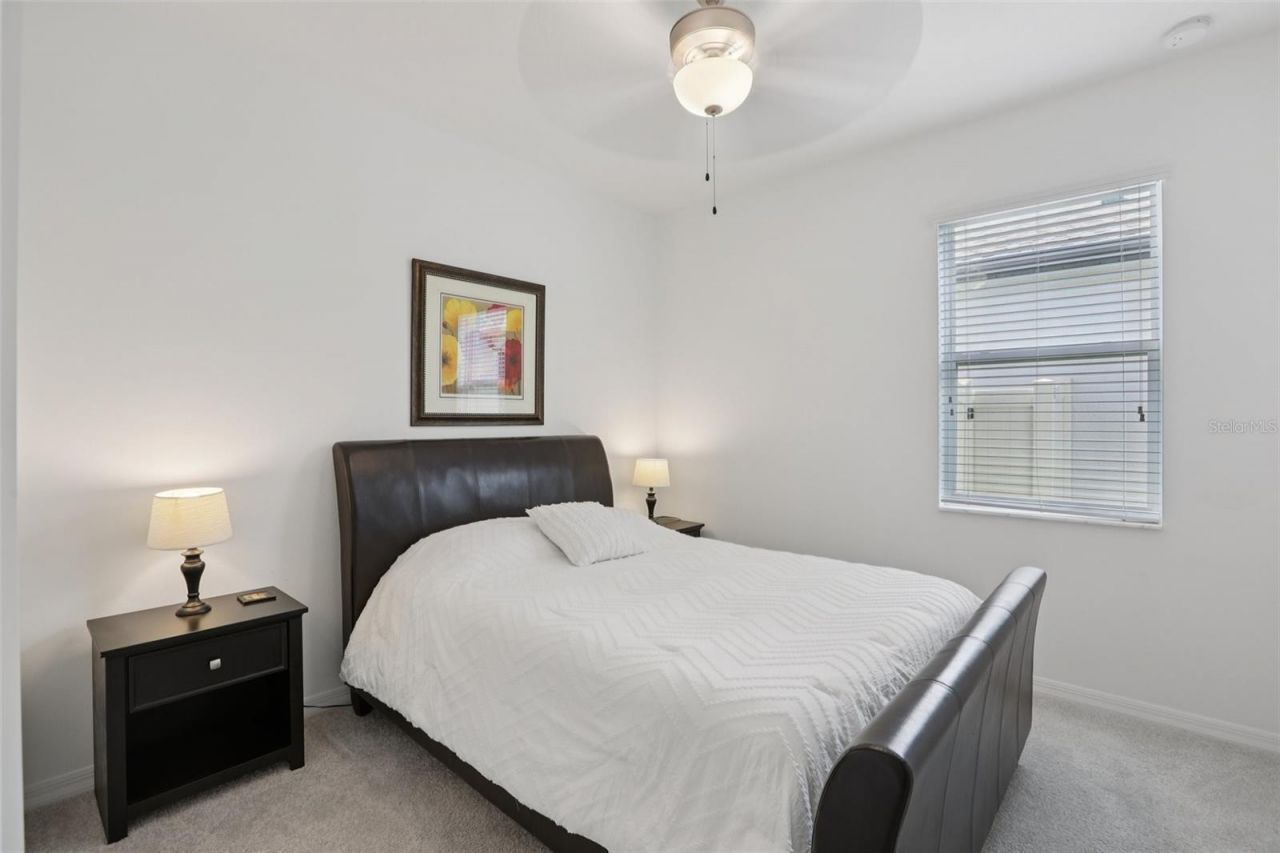 7114 Gulf Cypress Avenue, Land O Lakes, FL 34637 Photo