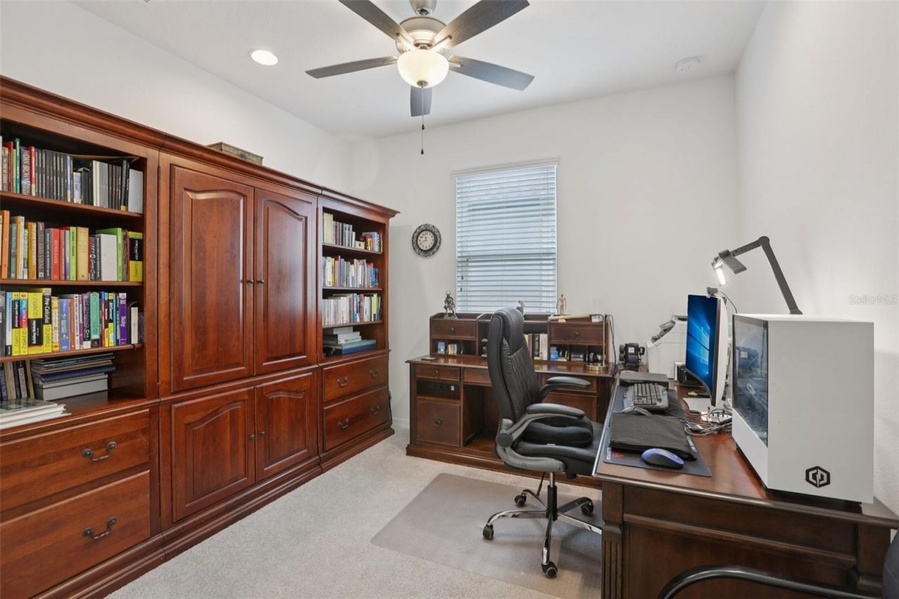 7114 Gulf Cypress Avenue, Land O Lakes, FL 34637 Photo