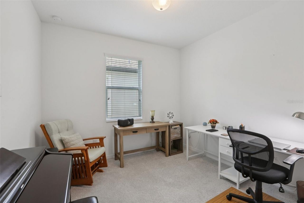 7114 Gulf Cypress Avenue, Land O Lakes, FL 34637 Photo