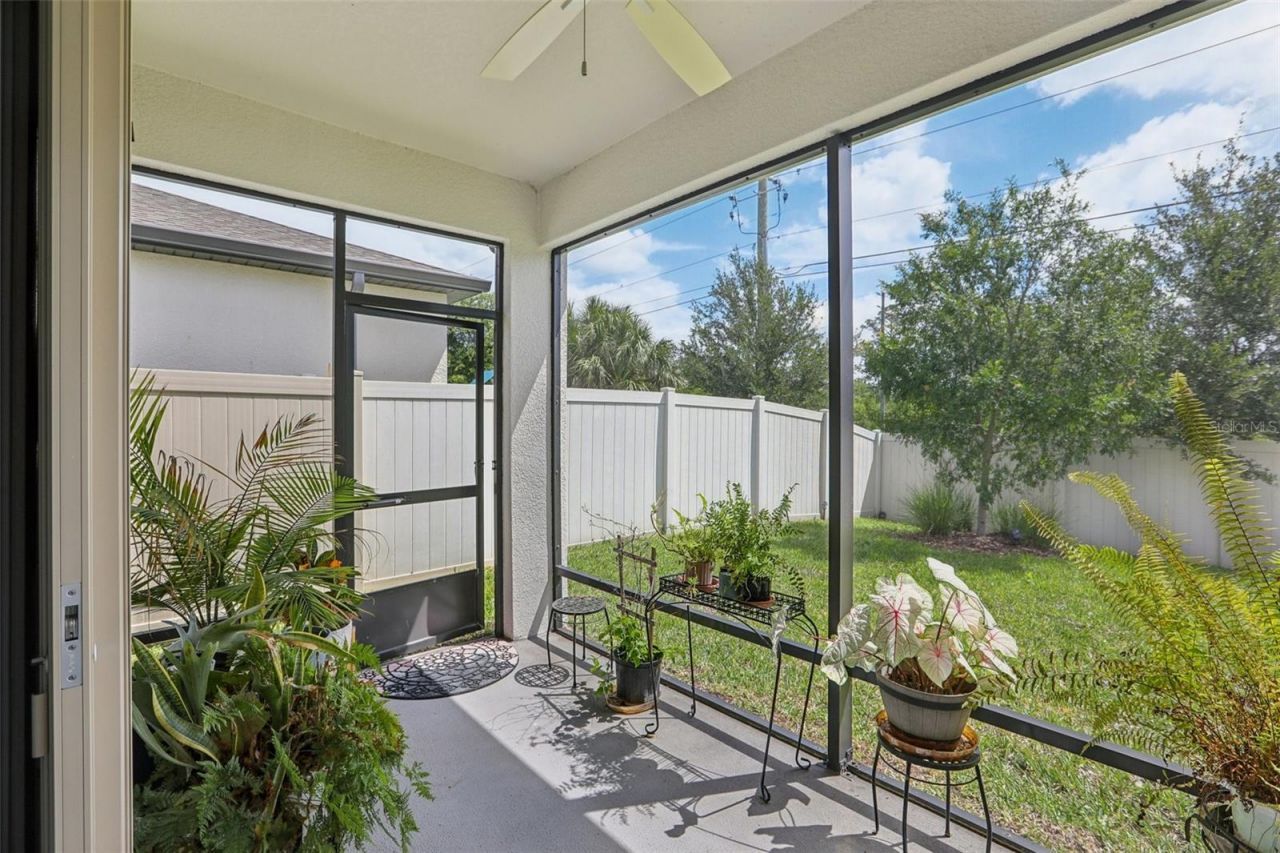 7114 Gulf Cypress Avenue, Land O Lakes, FL 34637 Photo