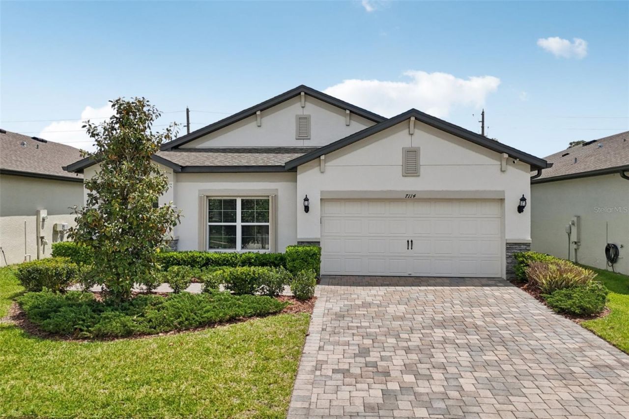 7114 Gulf Cypress Avenue, Land O Lakes, FL 34637 Photo