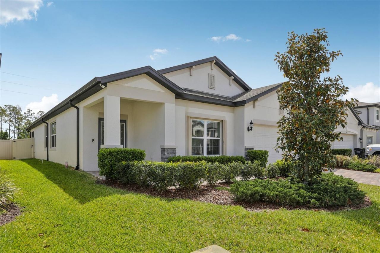 7114 Gulf Cypress Avenue, Land O Lakes, FL 34637 Photo