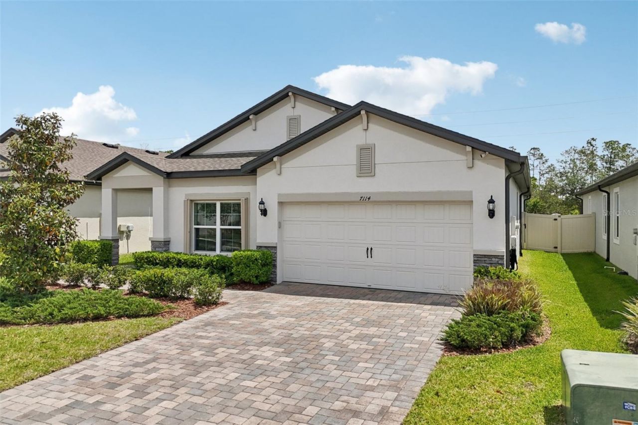 7114 Gulf Cypress Avenue, Land O Lakes, FL 34637 Photo
