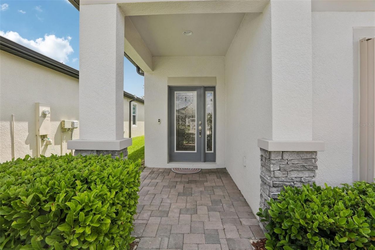 7114 Gulf Cypress Avenue, Land O Lakes, FL 34637 Photo