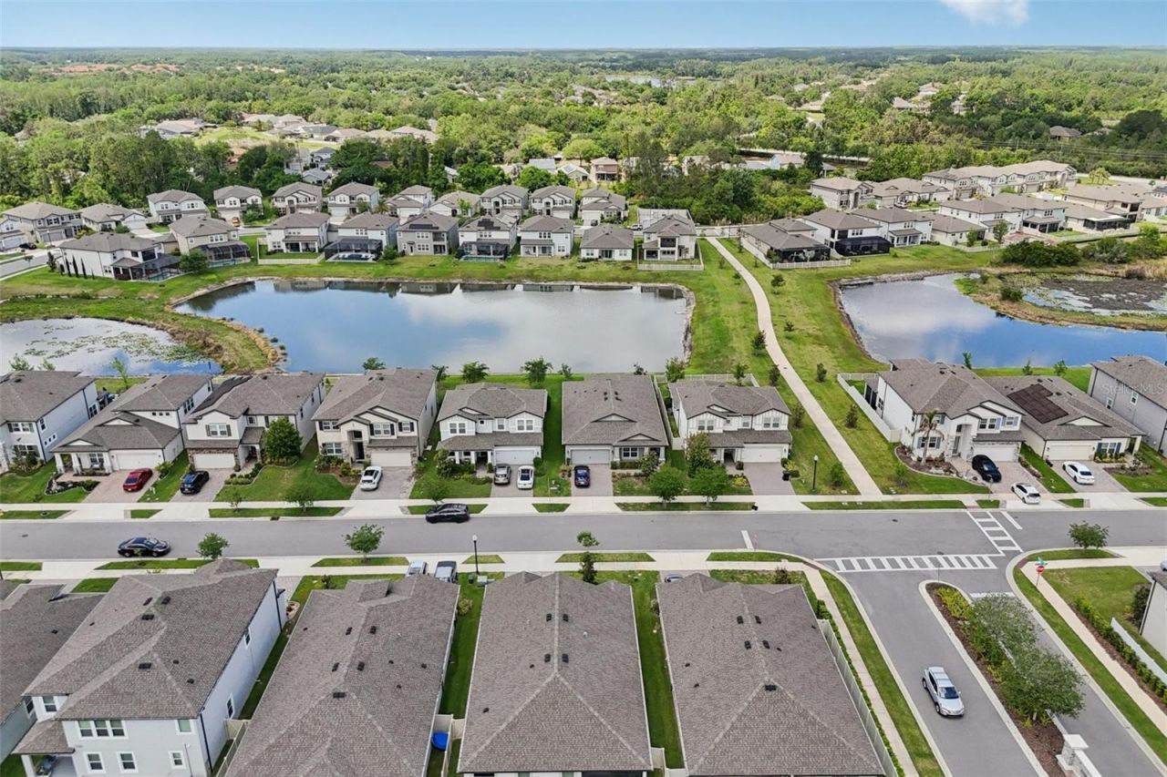 7114 Gulf Cypress Avenue, Land O Lakes, FL 34637 Photo