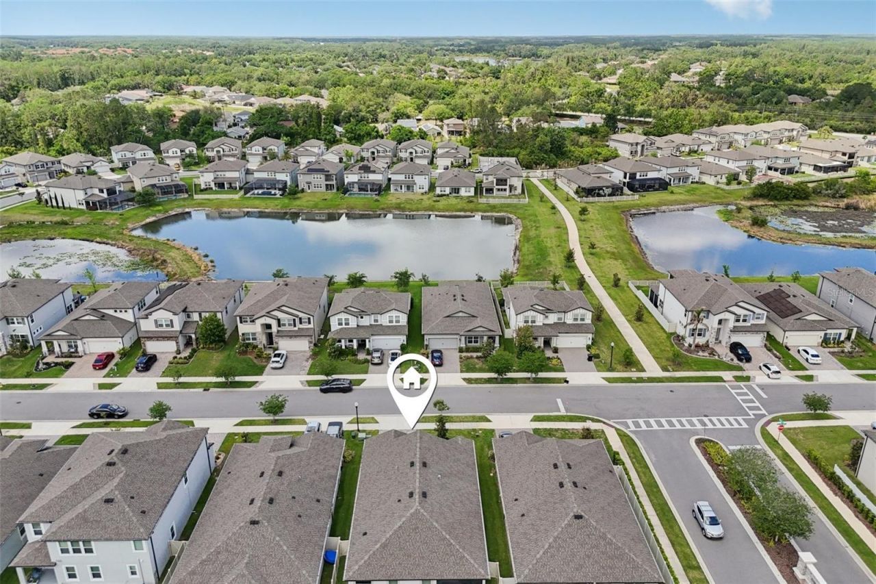 7114 Gulf Cypress Avenue, Land O Lakes, FL 34637 Photo