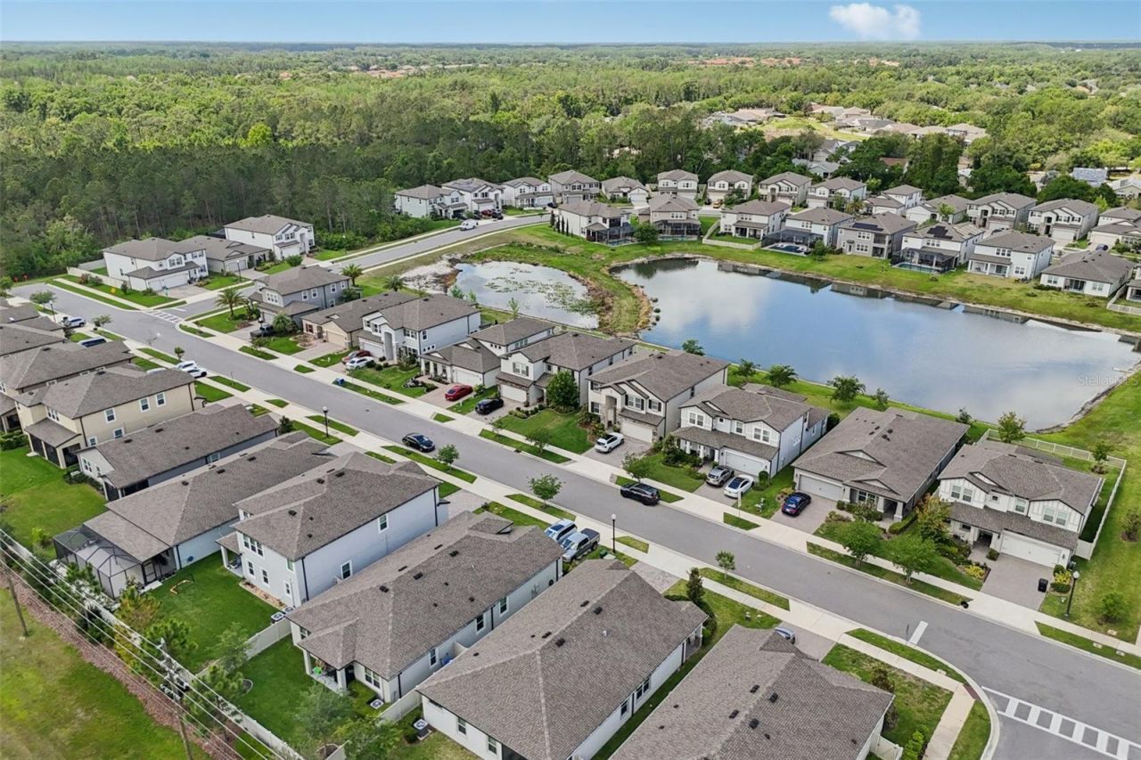 7114 Gulf Cypress Avenue, Land O Lakes, FL 34637 Photo