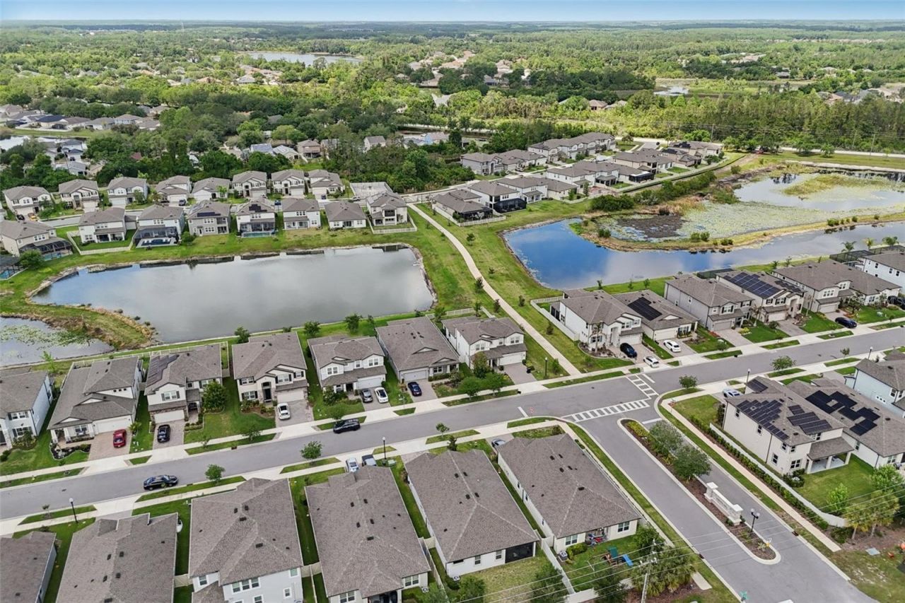 7114 Gulf Cypress Avenue, Land O Lakes, FL 34637 Photo