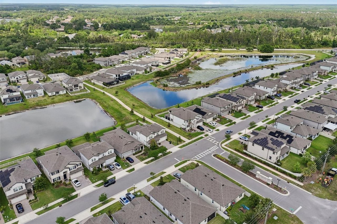 7114 Gulf Cypress Avenue, Land O Lakes, FL 34637 Photo