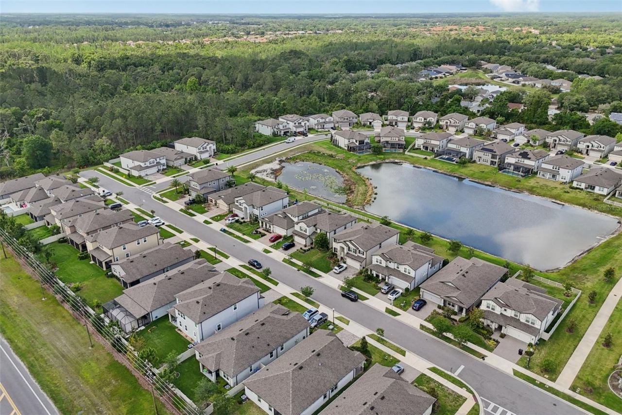 7114 Gulf Cypress Avenue, Land O Lakes, FL 34637 Photo