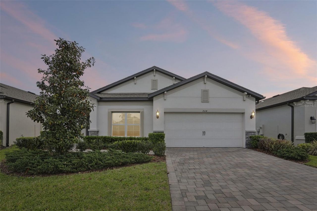 7114 Gulf Cypress Avenue, Land O Lakes, FL 34637 Photo