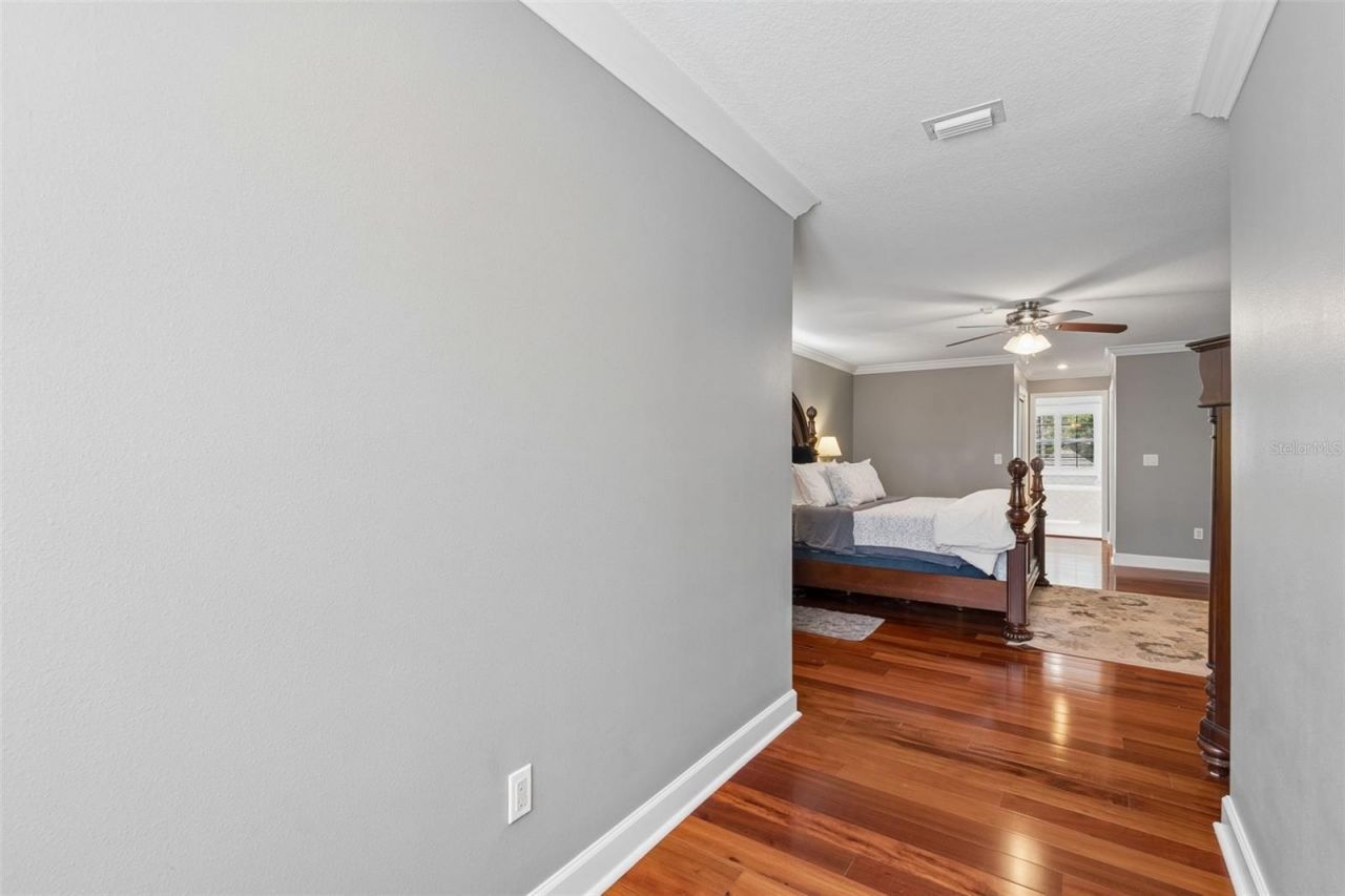 5438 Drexel Road, Land O Lakes, FL 34638 Photo