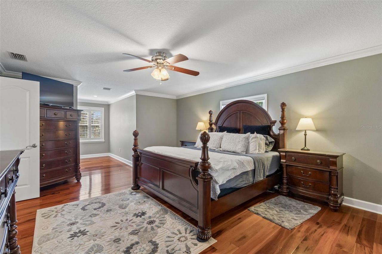 5438 Drexel Road, Land O Lakes, FL 34638 Photo