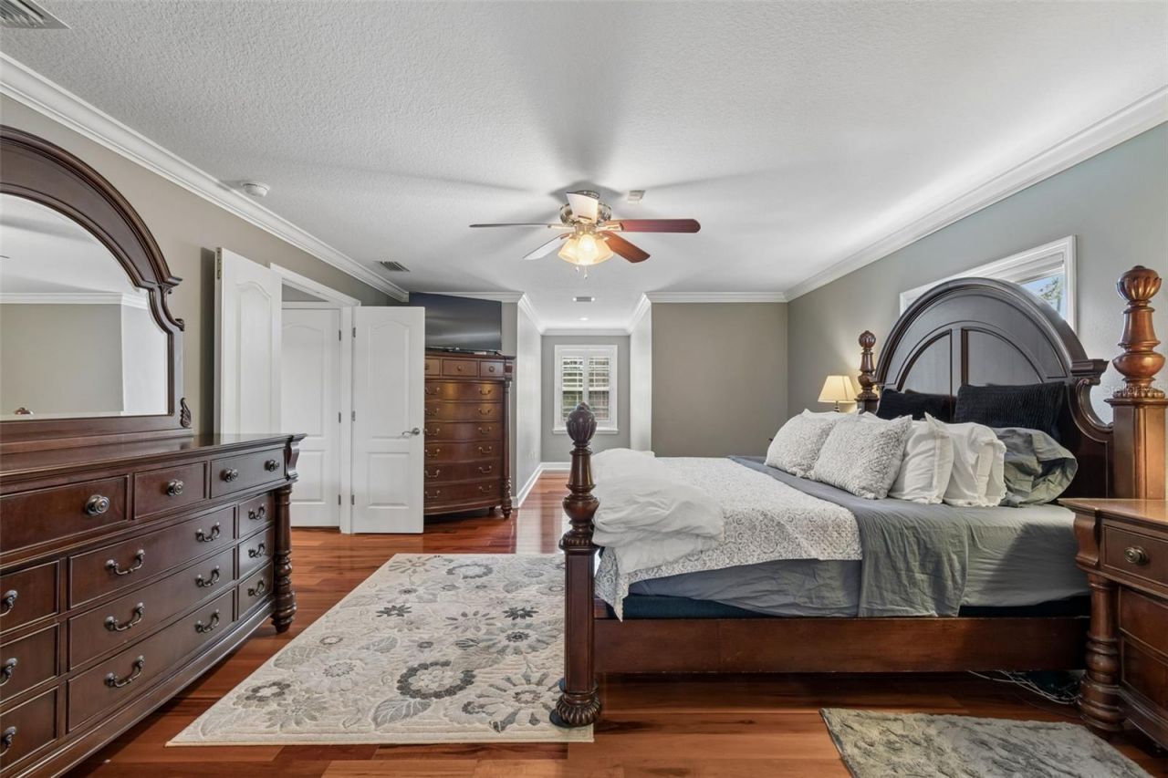 5438 Drexel Road, Land O Lakes, FL 34638 Photo