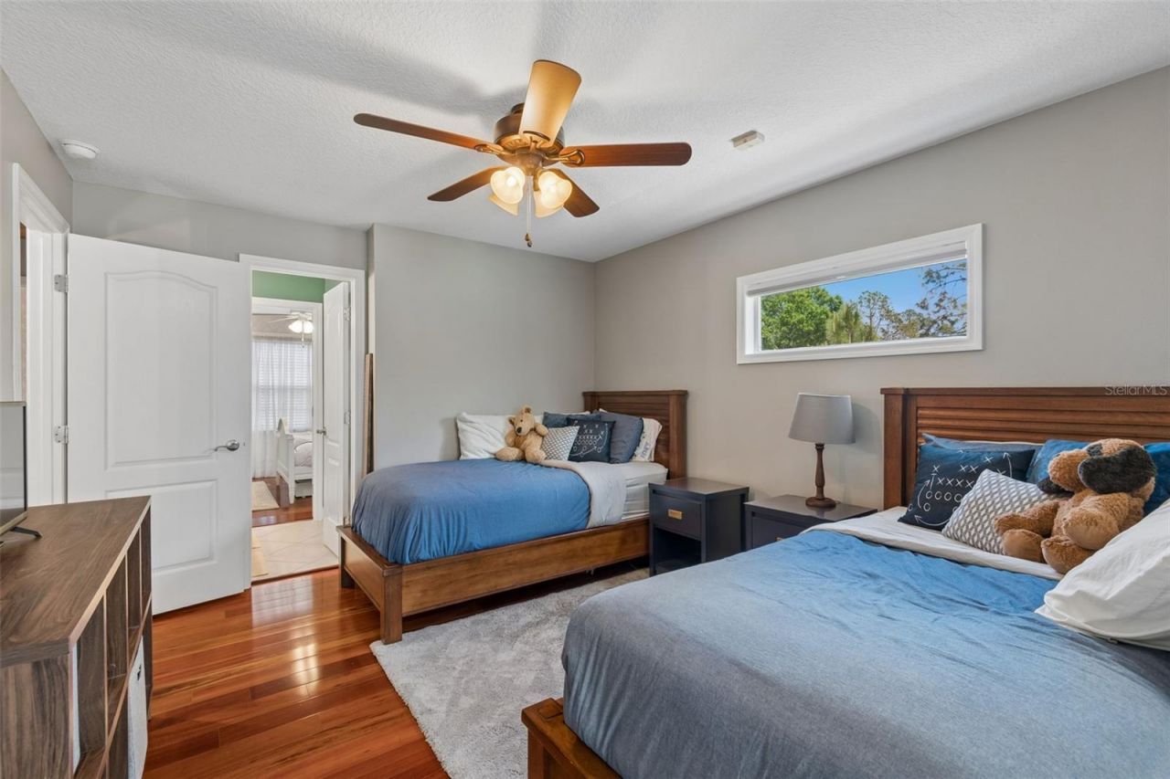 5438 Drexel Road, Land O Lakes, FL 34638 Photo