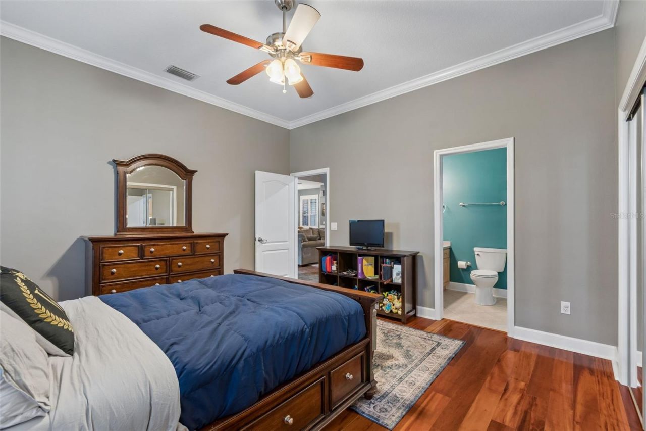 5438 Drexel Road, Land O Lakes, FL 34638 Photo