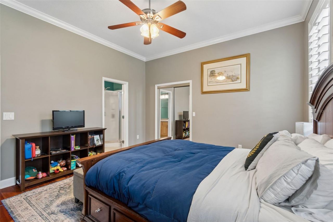 5438 Drexel Road, Land O Lakes, FL 34638 Photo