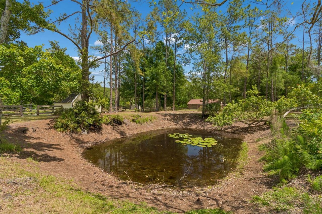 5438 Drexel Road, Land O Lakes, FL 34638 Photo