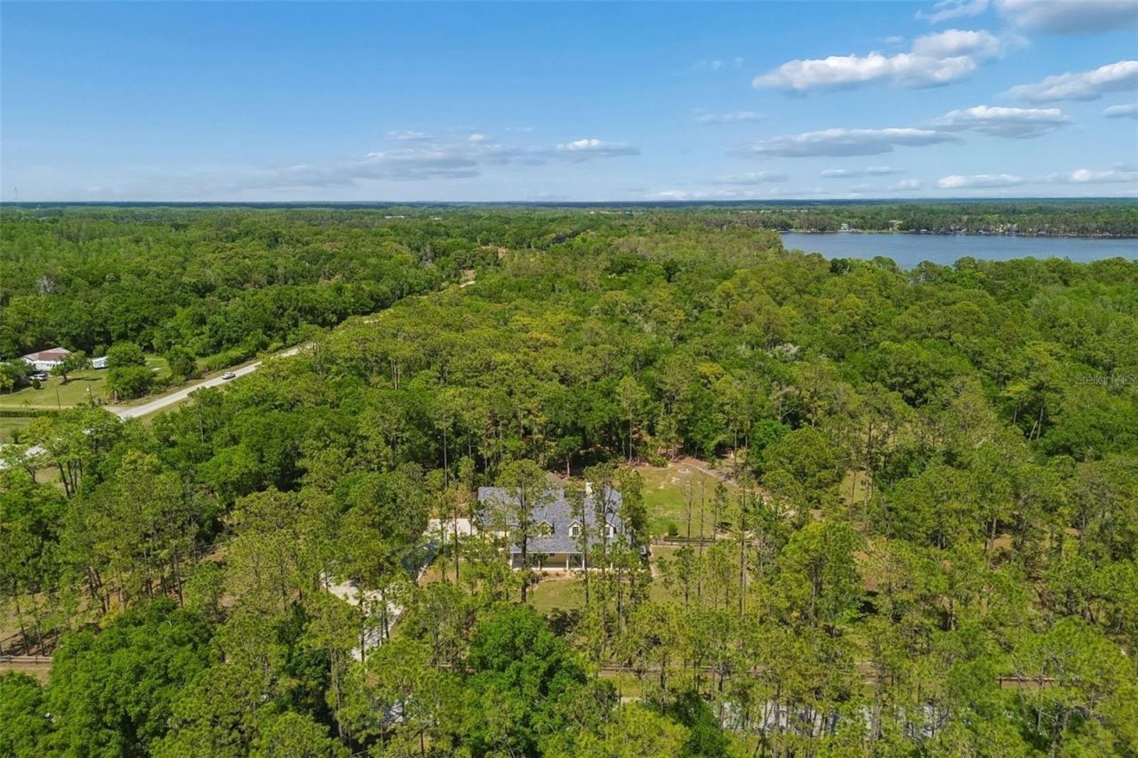 5438 Drexel Road, Land O Lakes, FL 34638 Photo
