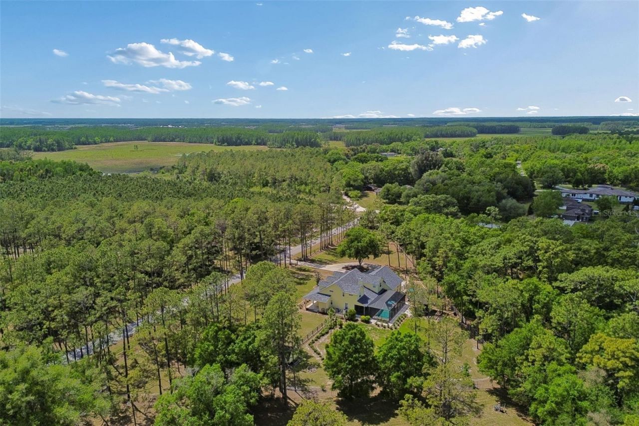 5438 Drexel Road, Land O Lakes, FL 34638 Photo