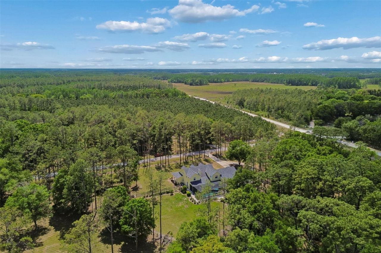 5438 Drexel Road, Land O Lakes, FL 34638 Photo