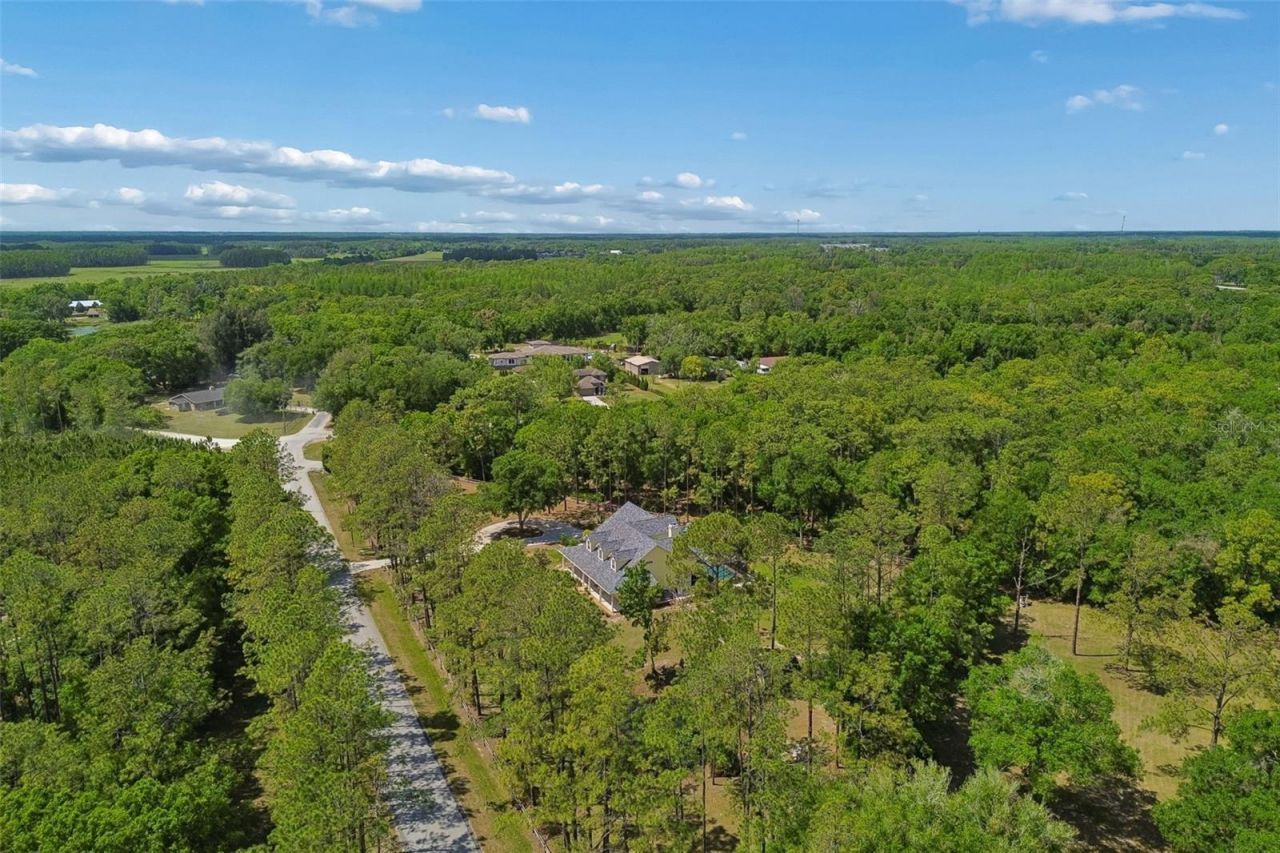 5438 Drexel Road, Land O Lakes, FL 34638 Photo