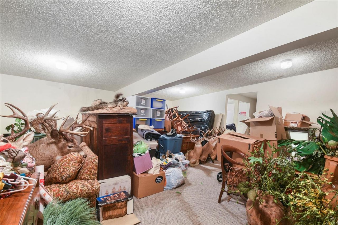 1324 Mattie Street, Saint Augustine, FL 32084 Photo