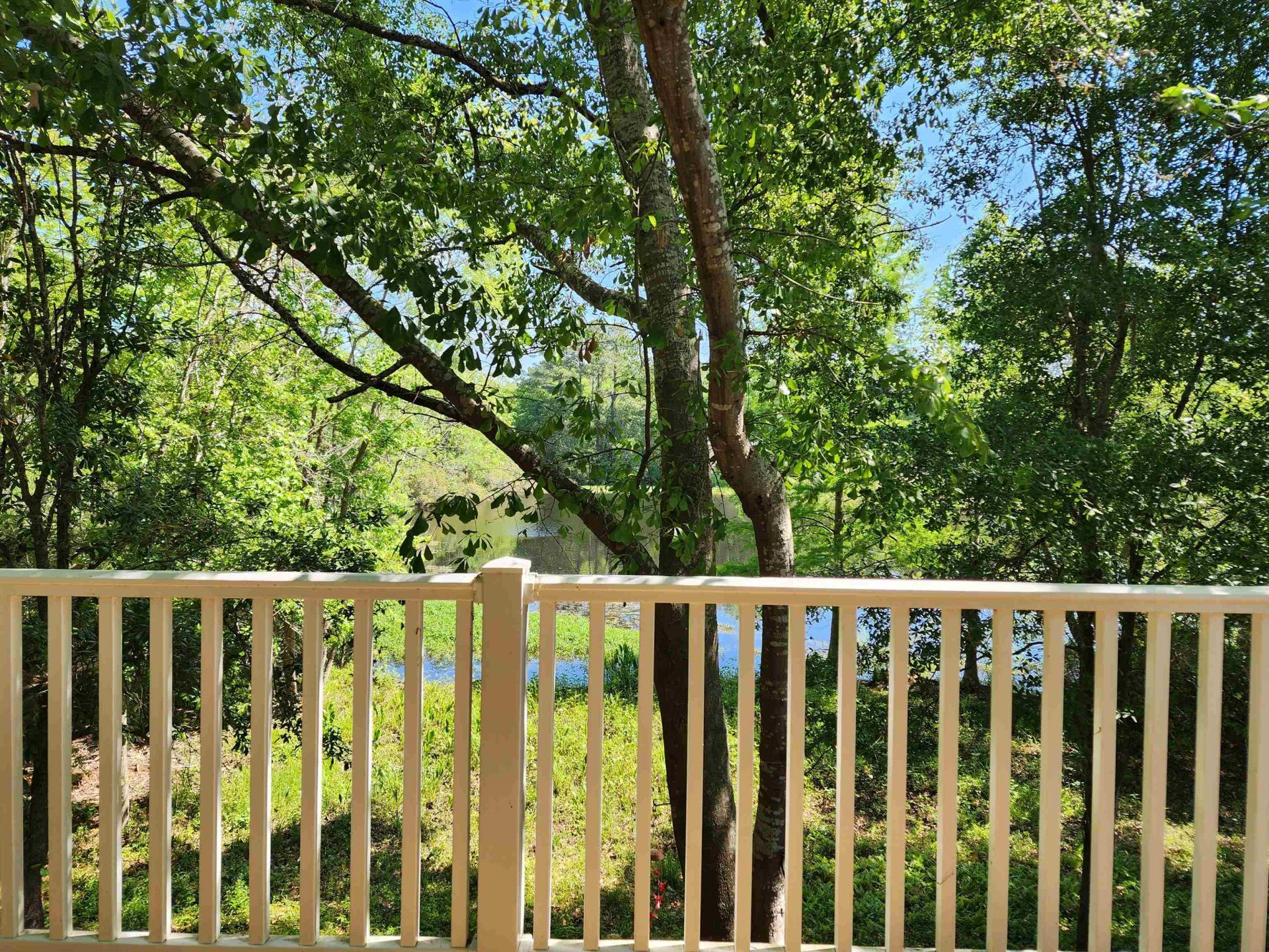 23 Monarch Ct.  Photo 29