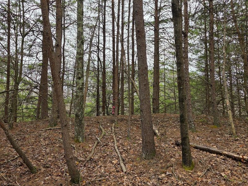 818 Campaign Poplar Road, Unit (Ponds Pop, Gallipolis, OH 45631 Photo 12