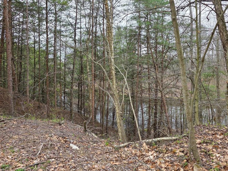 818 Campaign Poplar Road, Unit (Ponds Pop, Gallipolis, OH 45631 Photo 14