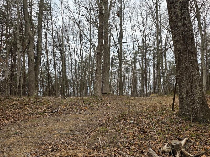 818 Campaign Poplar Road, Unit (Ponds Pop, Gallipolis, OH 45631 Photo 15