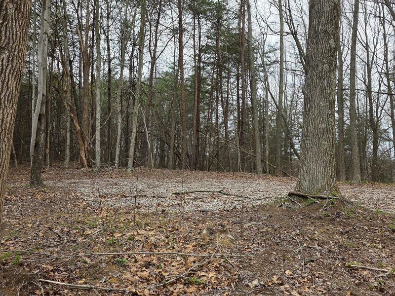 818 Campaign Poplar Road, Unit (Ponds Pop, Gallipolis, OH 45631 Photo 16