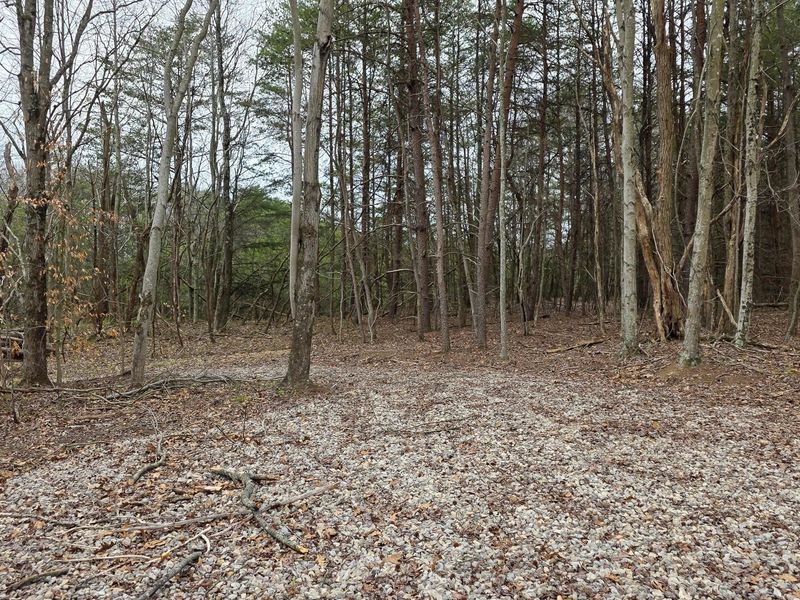 818 Campaign Poplar Road, Unit (Ponds Pop, Gallipolis, OH 45631 Photo 18