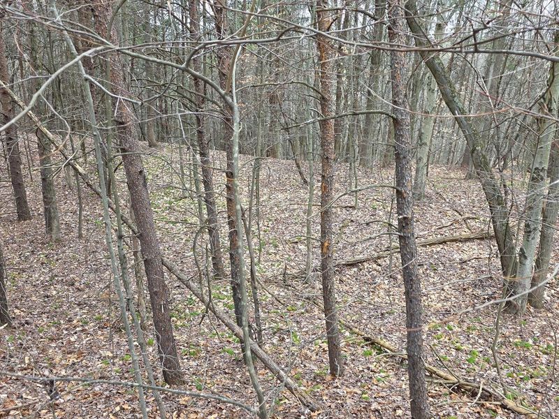 818 Campaign Poplar Road, Unit (Ponds Pop, Gallipolis, OH 45631 Photo 19