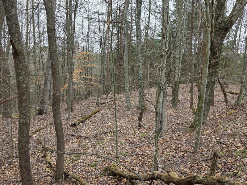 818 Campaign Poplar Road, Unit (Ponds Pop, Gallipolis, OH 45631 Photo 20