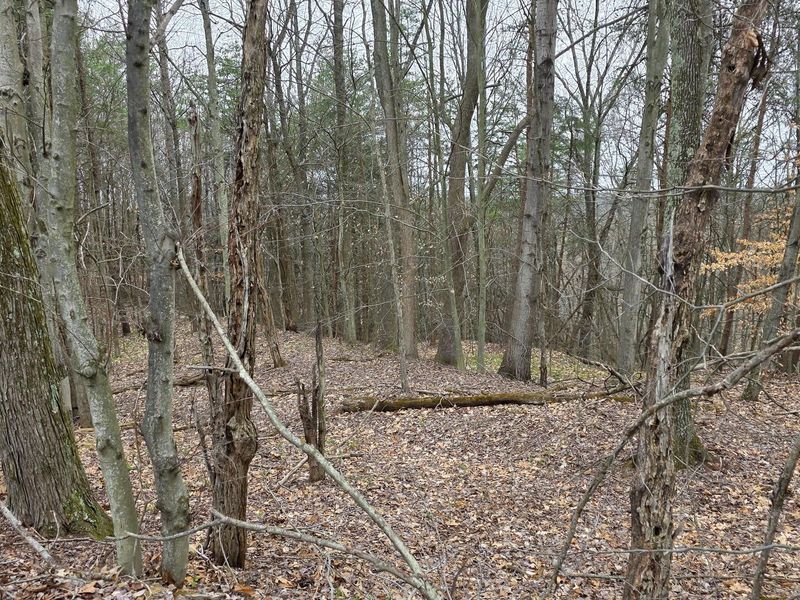 818 Campaign Poplar Road, Unit (Ponds Pop, Gallipolis, OH 45631 Photo 22