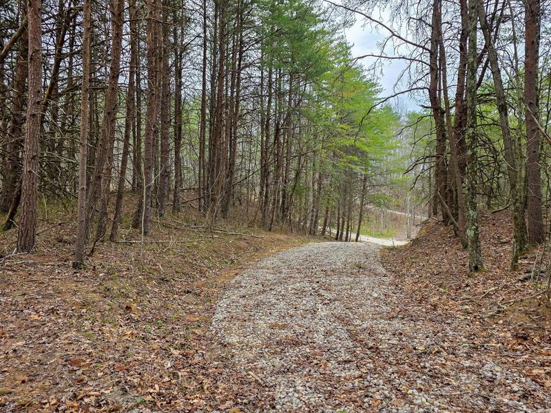 818 Campaign Poplar Road, Unit (Ponds Pop, Gallipolis, OH 45631 Photo 23