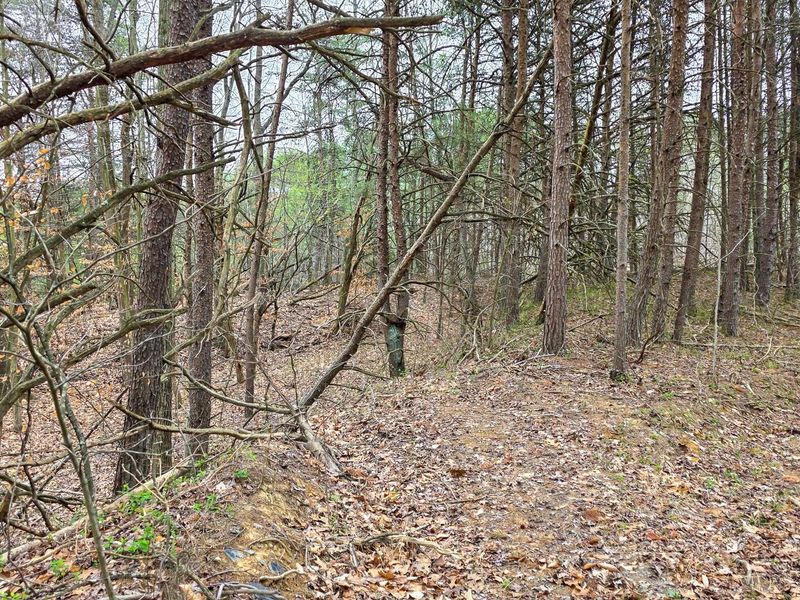 818 Campaign Poplar Road, Unit (Ponds Pop, Gallipolis, OH 45631 Photo 24