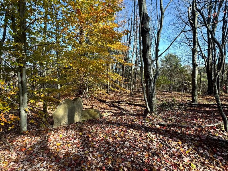 818 Campaign Poplar Road, Unit (Ponds Pop, Gallipolis, OH 45631 Photo 3